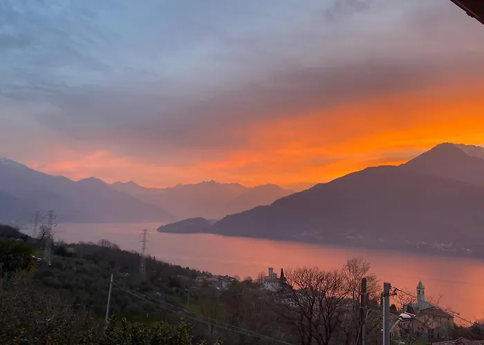 Appartement Delo - *